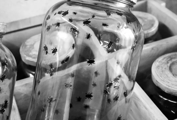 Flies in glass pot — Stock Photo, Image