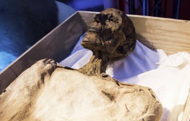 Antik mumya gövdesi