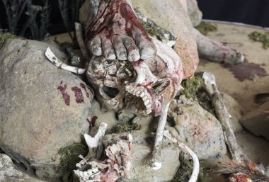 insan kafatası kafa