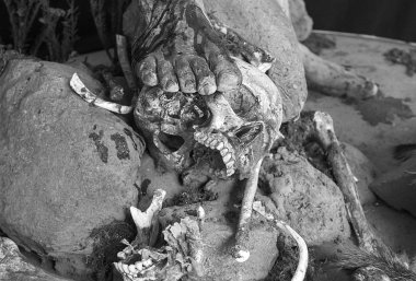 insan kafatası kafa