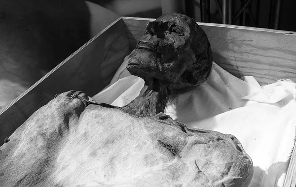 Körper einer antiken Mumie — Stockfoto