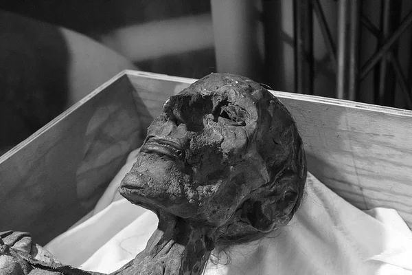 Tělo ze starověké mumie — Stock fotografie