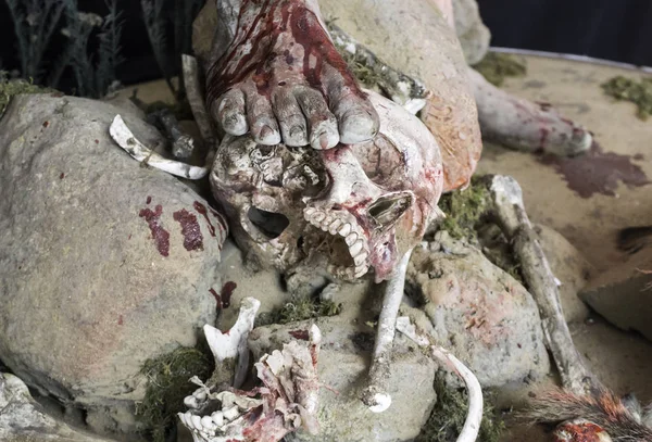 insan kafatası kafa