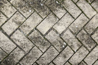 Dekoratif taş duvar