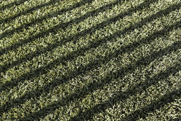 Искусственная трава в поле — стоковое фото