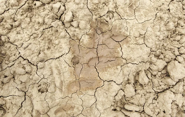 Dry and broken field — Stock Photo, Image