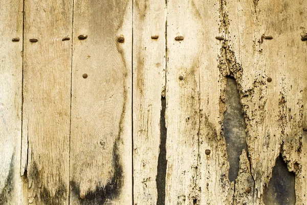 Зіскоблювати дерев'яні двері — стокове фото