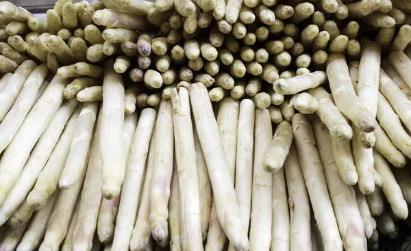 Raw white asparagus — Stock Photo, Image