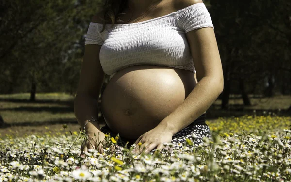 ヒナギクと妊娠中の女性 — ストック写真
