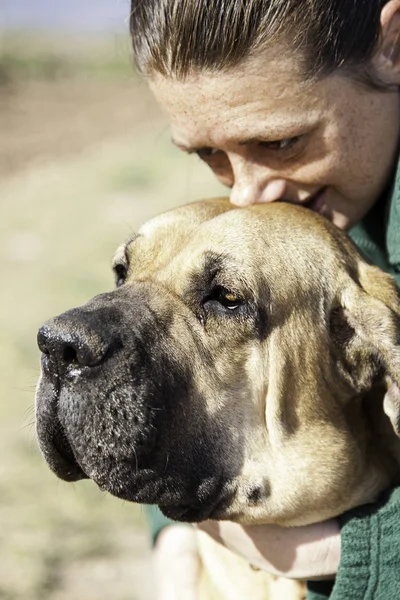 Fila de perro brasileiro — Foto de Stock