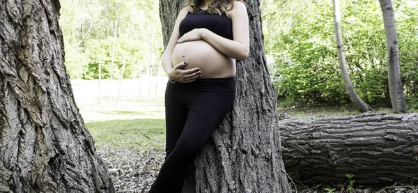 Mujer embarazada naturaleza — Foto de Stock