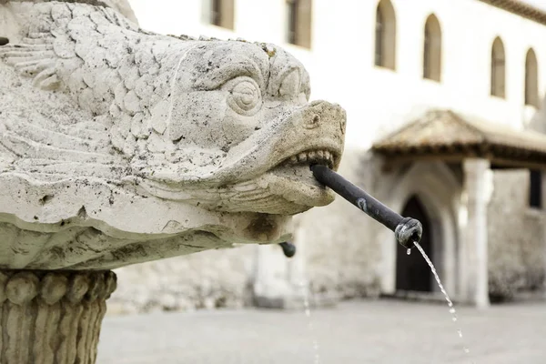 Animal stone fountain — Stock Photo, Image