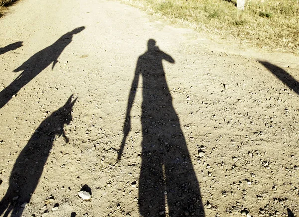Shadow couple with dog