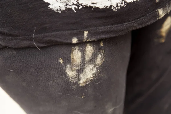 Pantaloni per impronte di cane — Foto Stock