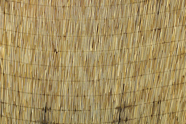갈색 대나무 벽 — 스톡 사진