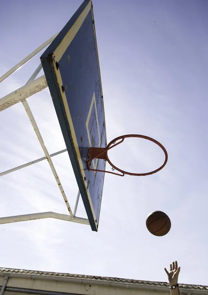 Balón de baloncesto en cesta —  Fotos de Stock