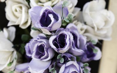 Bahçedeki çiçekler