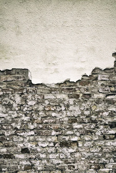 Dekoratif taş duvar — Stok fotoğraf