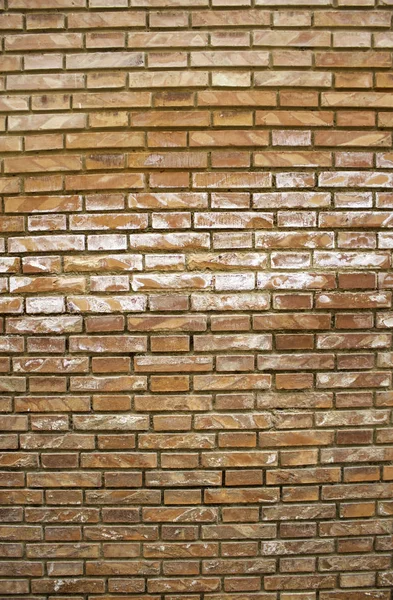 Dekorativní kamenná zeď — Stock fotografie
