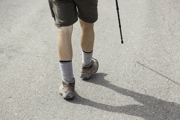 Hikers on forest — Stock Photo, Image