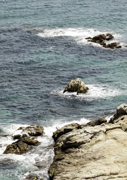 Breakwater na praia — Fotografia de Stock