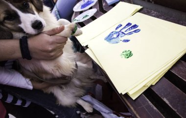 Boyalı köpek ayak izi