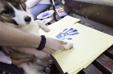 Boyalı köpek ayak izi