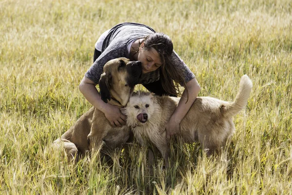 女人拥抱猎犬 — 图库照片