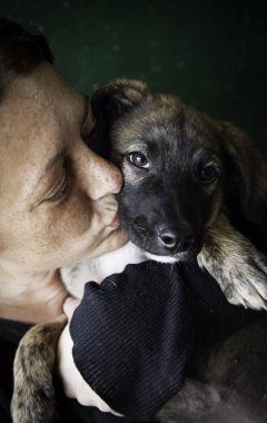 Üzgün terk edilmiş köpekler
