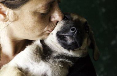 Üzgün terk edilmiş köpekler