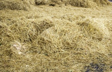 Zemin dağınık saman