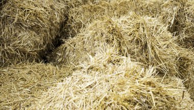 Zemin dağınık saman