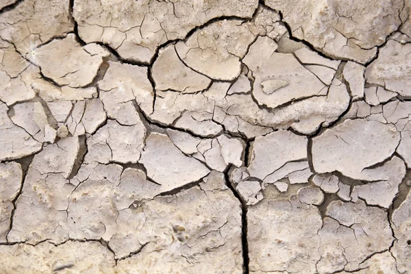 Dry and broken field — Stock Photo, Image