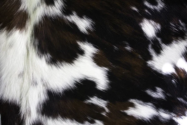 Pele de cabra natural — Fotografia de Stock