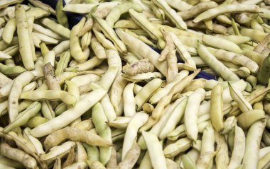 Yeşil fasulye doğa