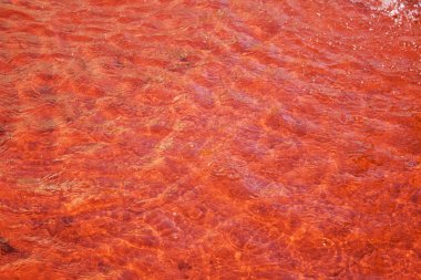 Şarap Çeşme kırmızı