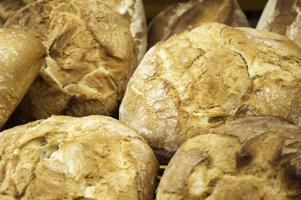 Toasted wholemeal bread — Stock Photo, Image