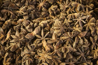 Bitkisel şifalı otlar