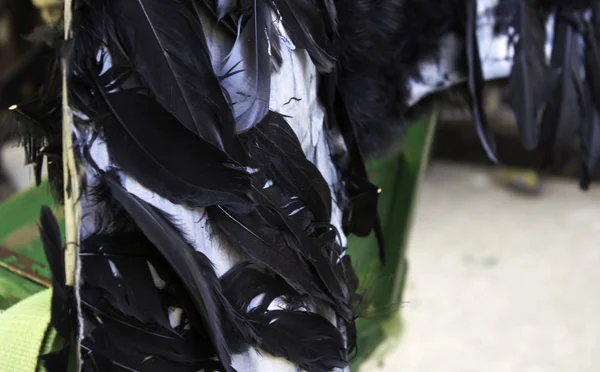 Plumas naturales de aves — Foto de Stock