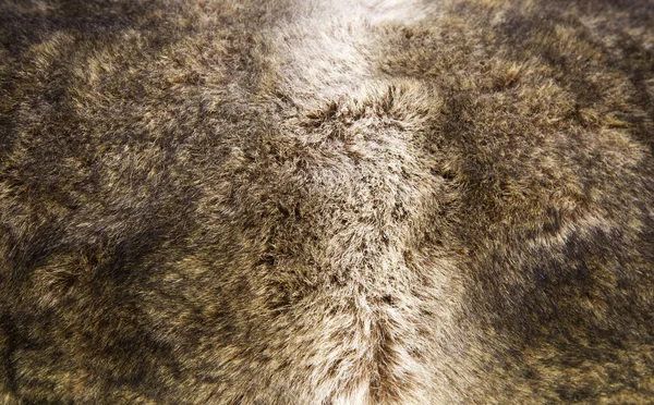 Кожа оленя — стоковое фото