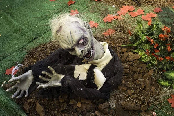 Zombie coming out of the grave — Stock Photo, Image