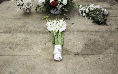 Mezarlık çiçeği.