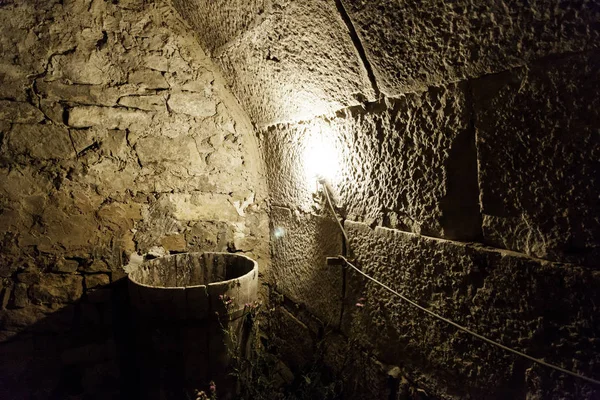 Cellar with barrels — Stock Photo, Image