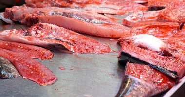 Balık dükkanda balık