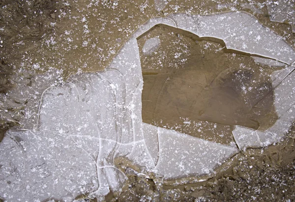 Лужа со снегом — стоковое фото