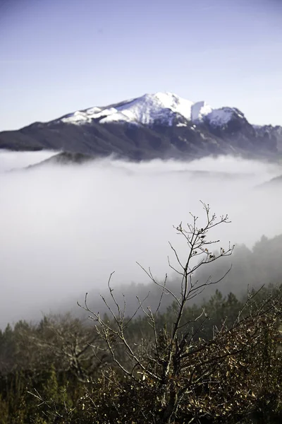 Nevoeiro de montanhas nevadas — Fotografia de Stock