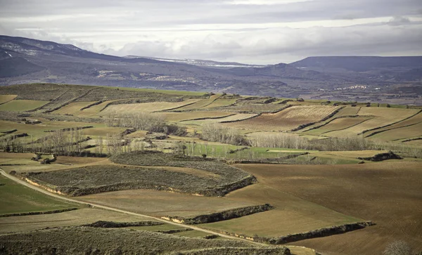 Camino en el campo —  Fotos de Stock