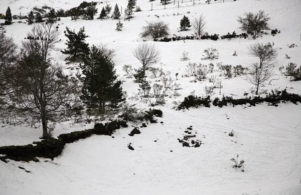 Cable car in sneeuw — Stockfoto