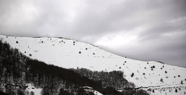 Veld besneeuwde landschap — Stockfoto