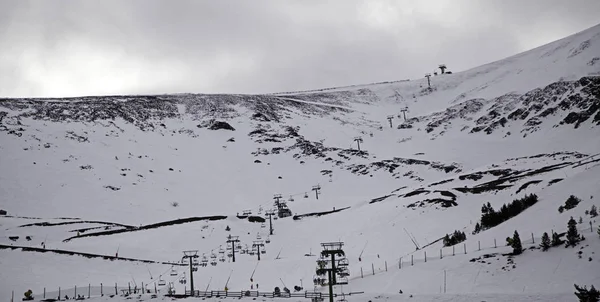 田野积雪景观 — 图库照片